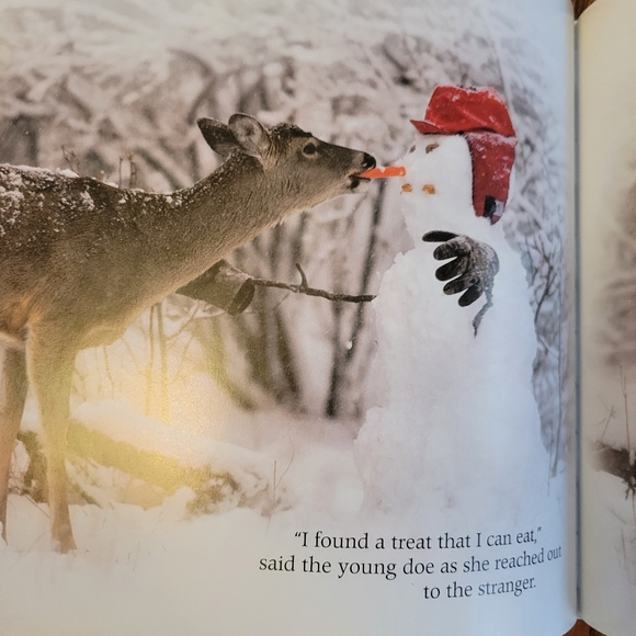 Stranger in the Woods: A Photographic Fantasy ~ Signed by Authors! - Picture 10 of 16
